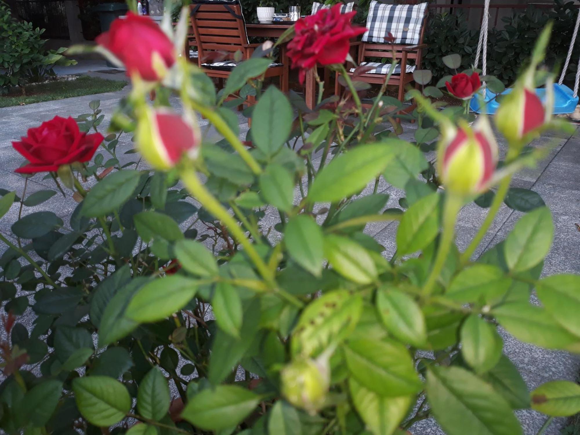 Guest House No 13 Mostar Exterior foto